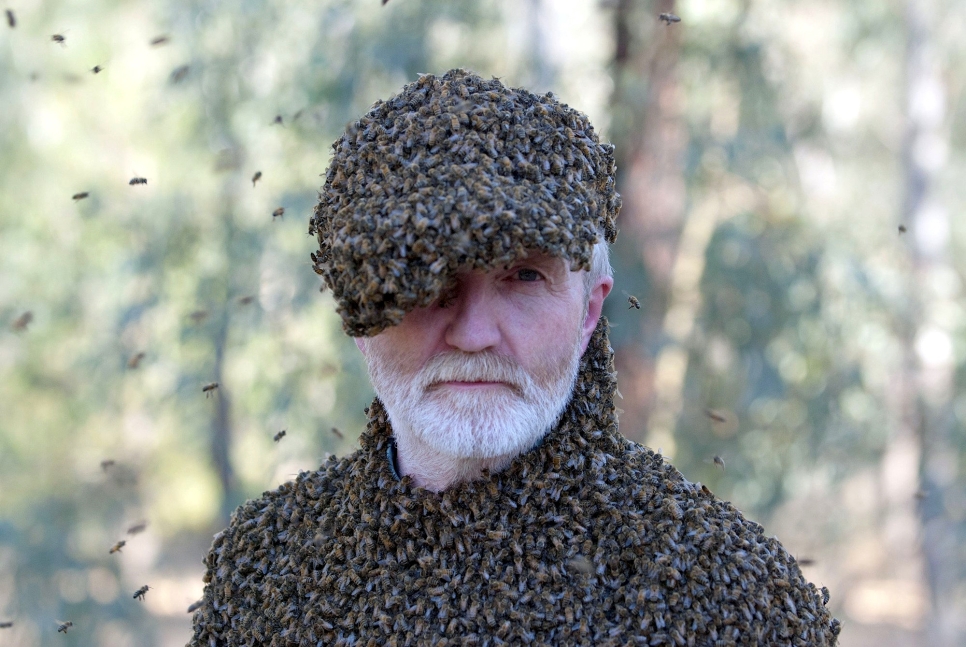 Big Bug Weekend with George McGavin